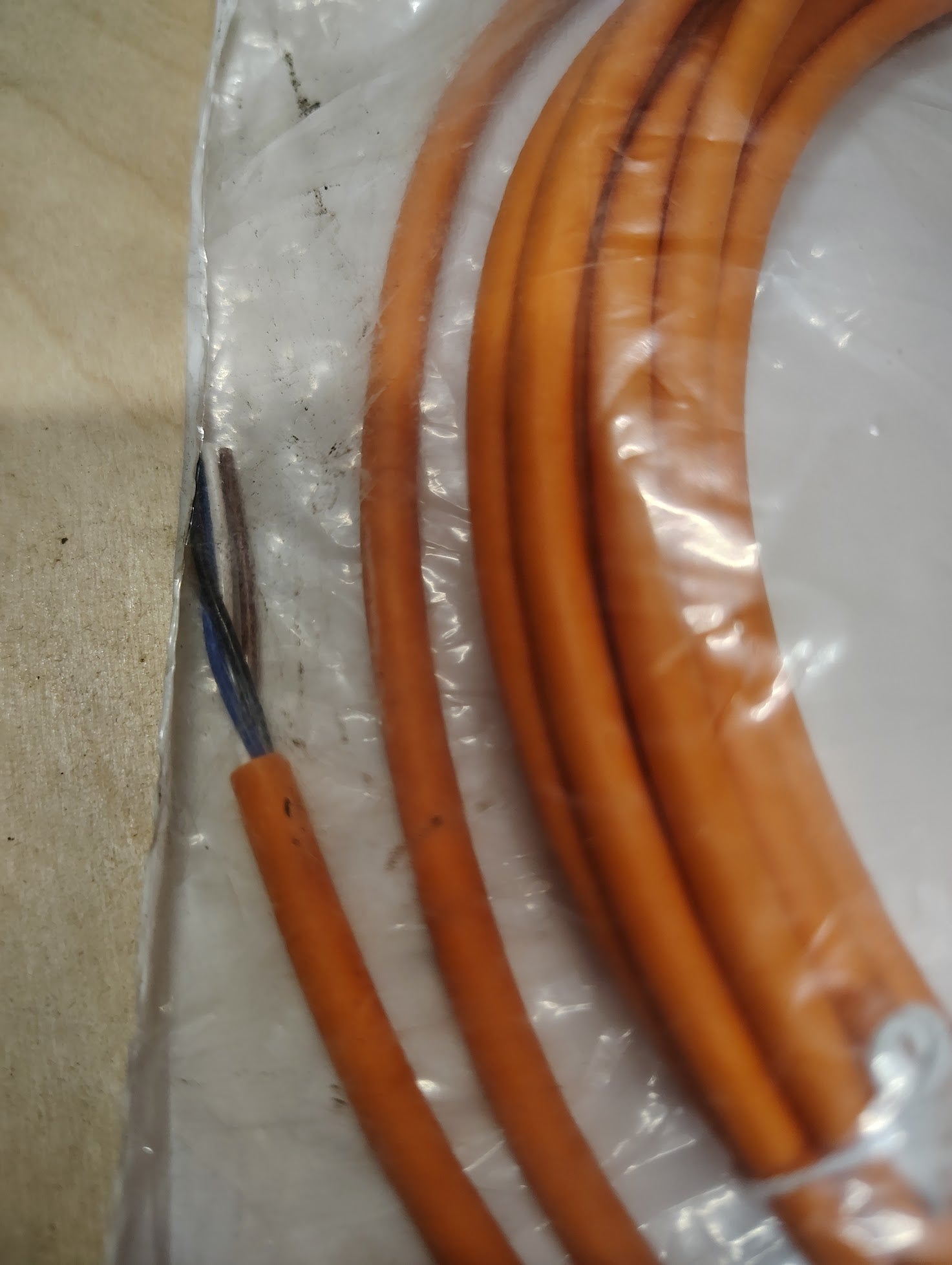 V1 - W - OR5M - POC - Pepperl + Fuchs V1 - W - OR5M - POC Female Cord Set V1WOR5MPOC New 4 - PIN - Surplus Alley